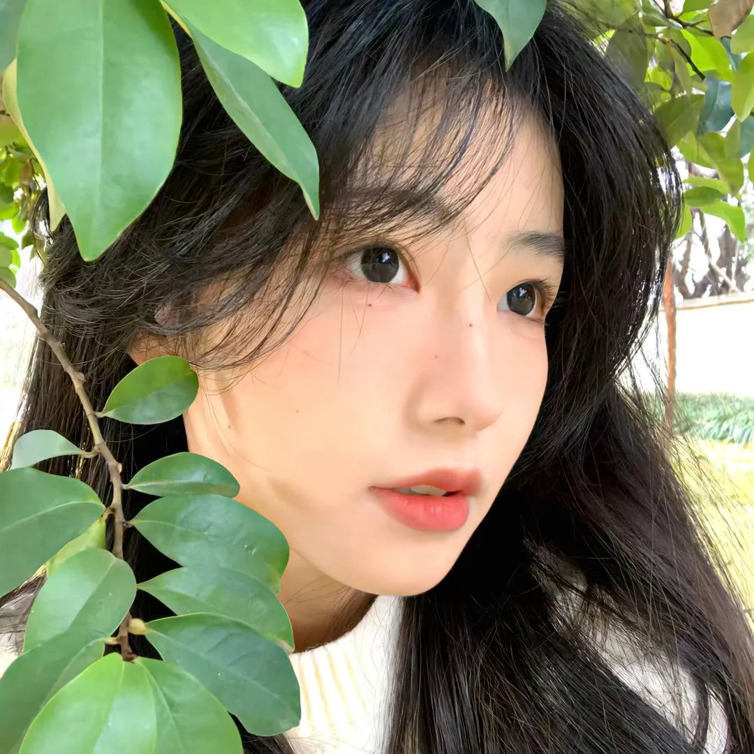 团子大家族 剧场版